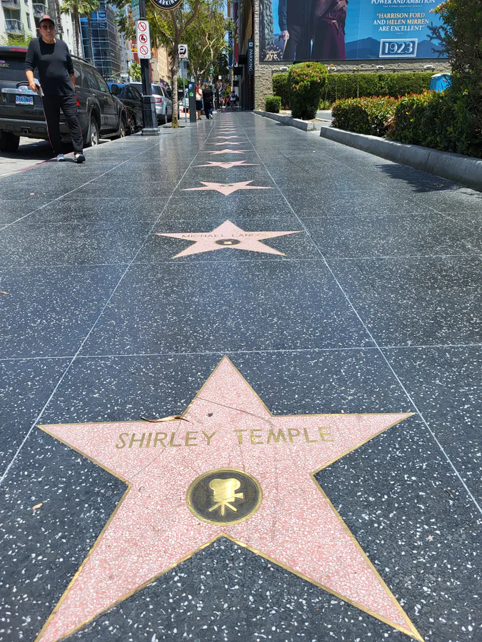 Lights, Camera, Hollywood!