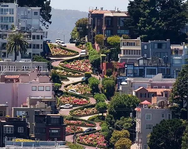 San Francisco Parks & Panoramas